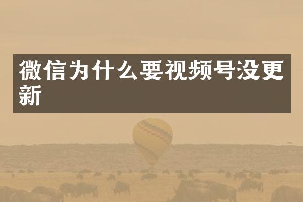 微信为什么要视频号没更新
