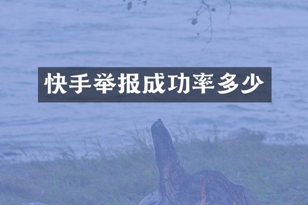 快手举报成功率多少