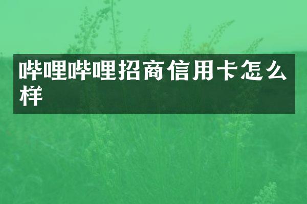 哔哩哔哩招商信用卡怎么样
