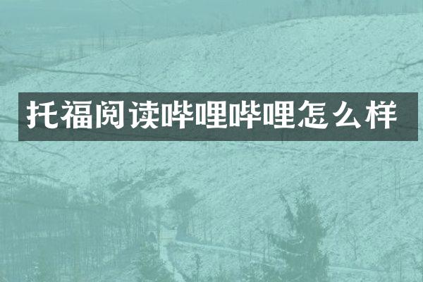 托福阅读哔哩哔哩怎么样