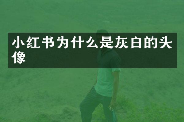 小红书为什么是灰白的头像