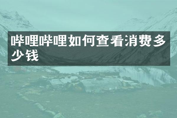 哔哩哔哩如何查看消费多少钱
