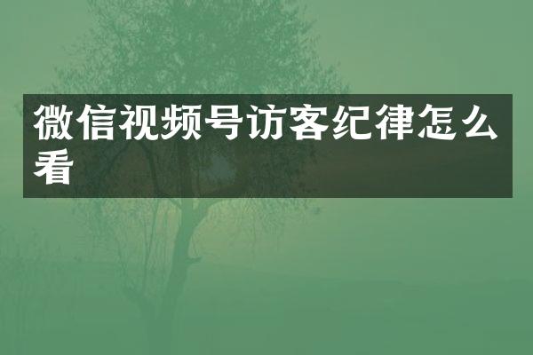 微信视频号访客纪律怎么看
