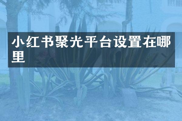 小红书聚光平台设置在哪里