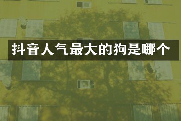 抖音人气最大的狗是哪个