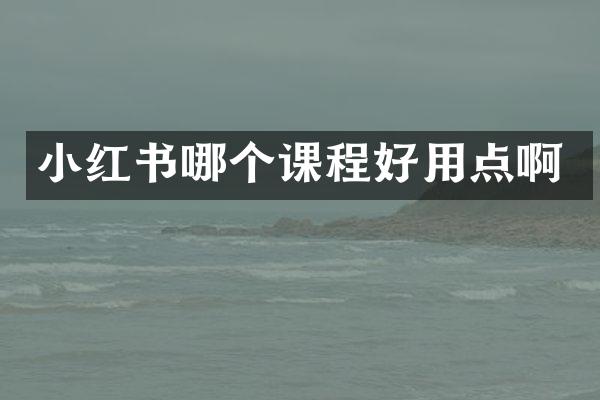 小红书哪个课程好用点啊