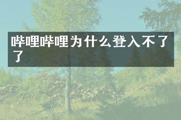 哔哩哔哩为什么登入不了了