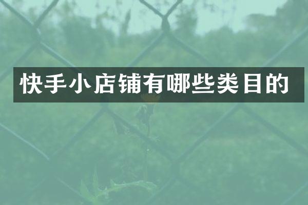 快手小店铺有哪些类目的