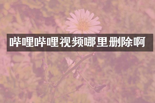 哔哩哔哩视频哪里删除啊