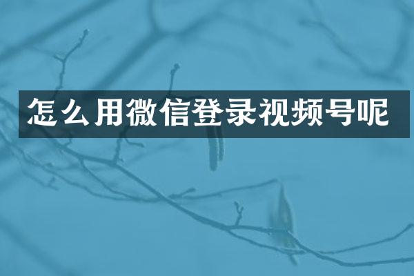 怎么用微信登录视频号呢