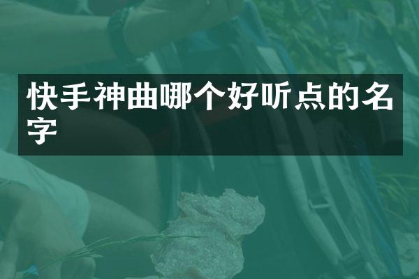 快手神曲哪个好听点的名字