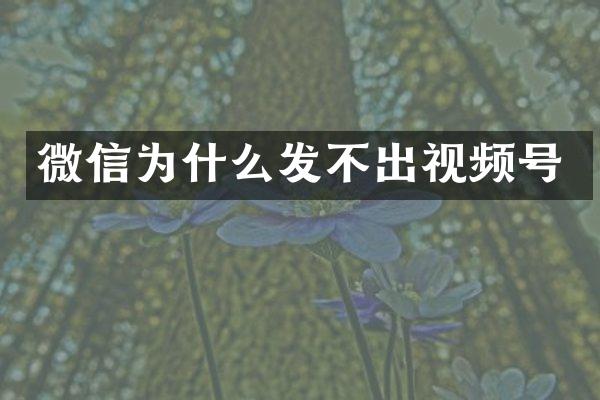 微信为什么发不出视频号