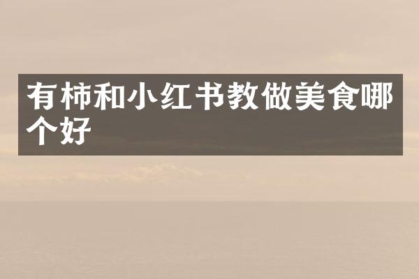 有柿和小红书教做美食哪个好