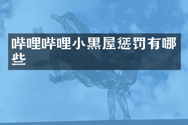 哔哩哔哩小黑屋惩罚有哪些