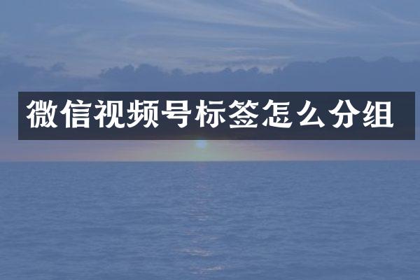 微信视频号标签怎么分组