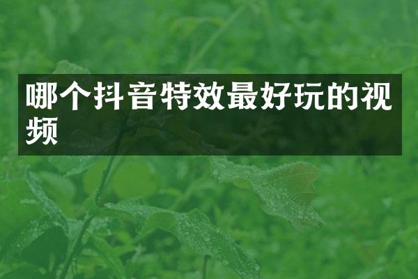 哪个抖音特效最好玩的视频