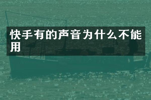 快手有的声音为什么不能用