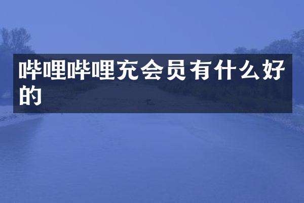 哔哩哔哩充会员有什么好的