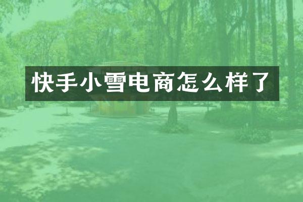 快手小雪电商怎么样了