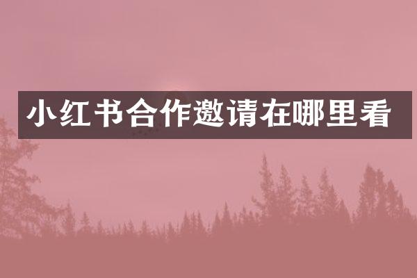 小红书合作邀请在哪里看