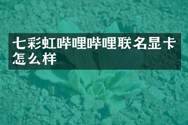 七彩虹哔哩哔哩联名显卡怎么样
