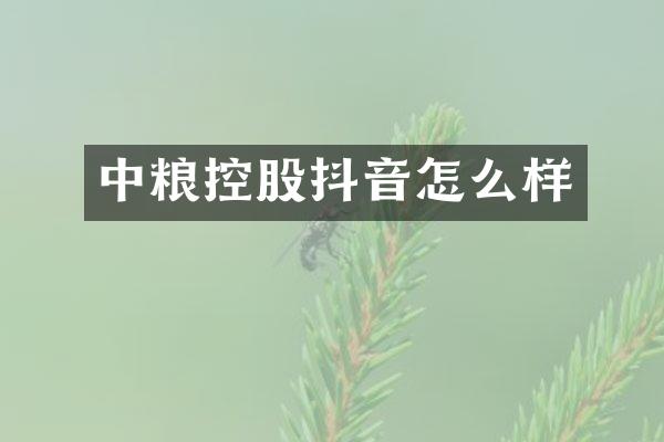 中粮控股抖音怎么样