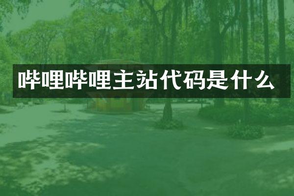 哔哩哔哩主站代码是什么