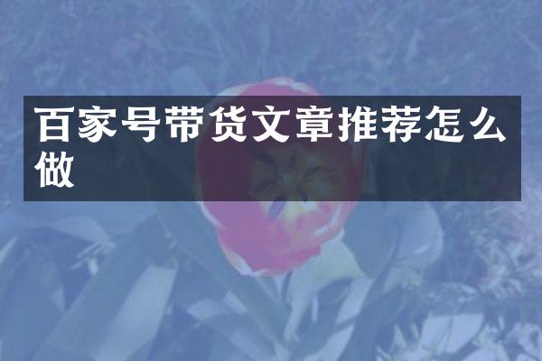 百家号带货文章推荐怎么做