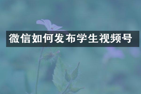 微信如何发布学生视频号