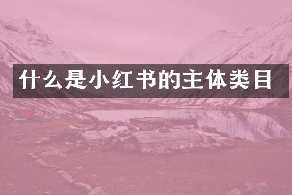 什么是小红书的主体类目