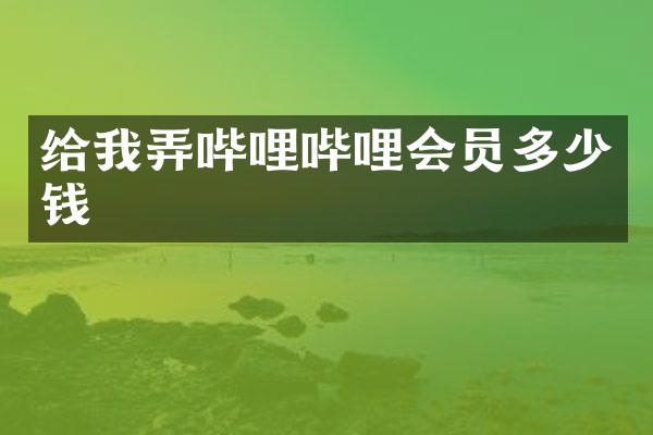 给我弄哔哩哔哩会员多少钱