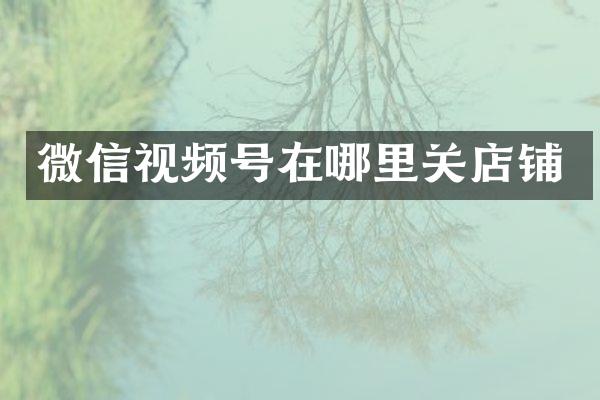 微信视频号在哪里关店铺