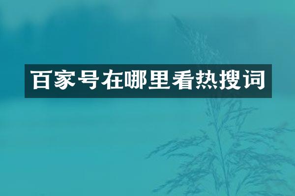 百家号在哪里看热搜词