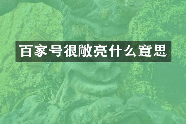 百家号很敞亮什么意思