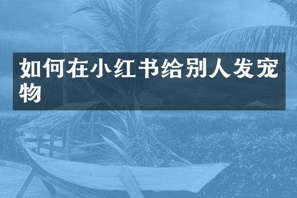 如何在小红书给别人发宠物