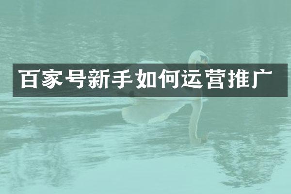 百家号新手如何运营推广