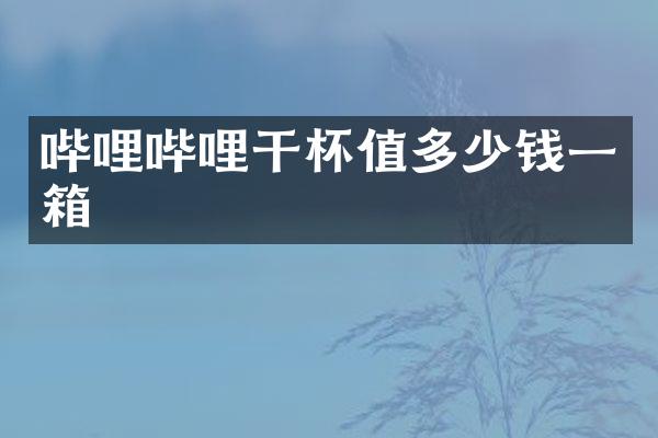 哔哩哔哩干杯值多少钱一箱