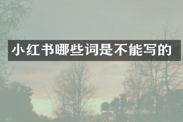 小红书哪些词是不能写的