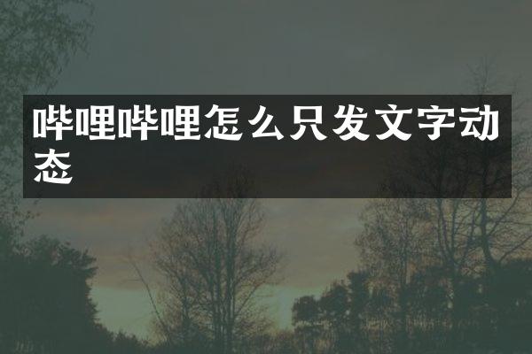 哔哩哔哩怎么只发文字动态