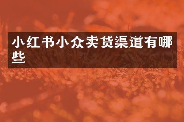 小红书小众卖货渠道有哪些