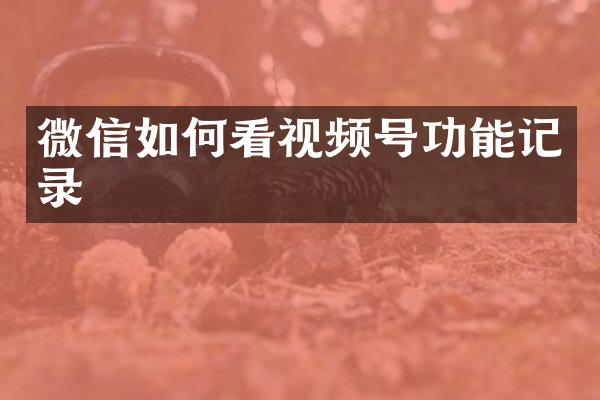 微信如何看视频号功能记录