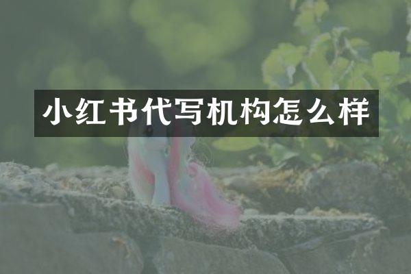 小红书代写机构怎么样