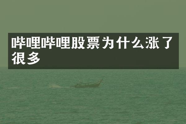 哔哩哔哩股票为什么涨了很多