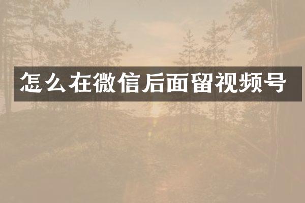 怎么在微信后面留视频号