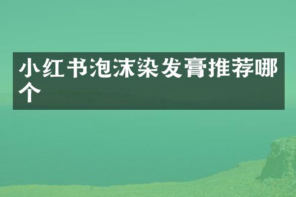 小红书泡沫染发膏推荐哪个
