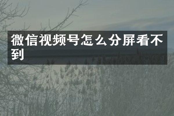 微信视频号怎么分屏看不到