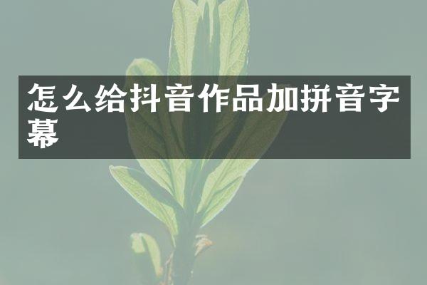 怎么给抖音作品加拼音字幕