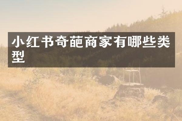 小红书奇葩商家有哪些类型
