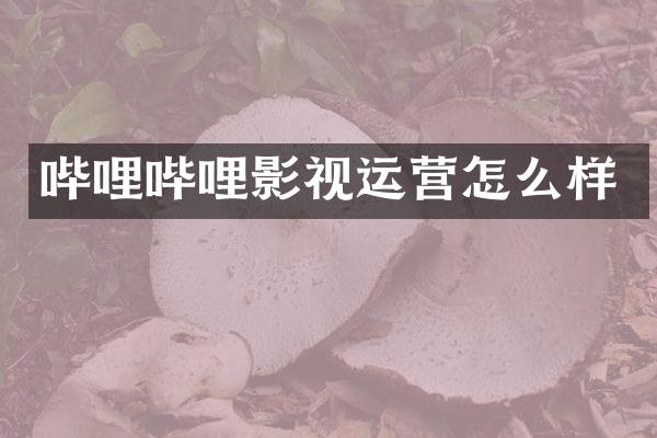 哔哩哔哩影视运营怎么样
