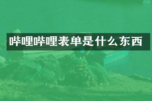 哔哩哔哩表单是什么东西